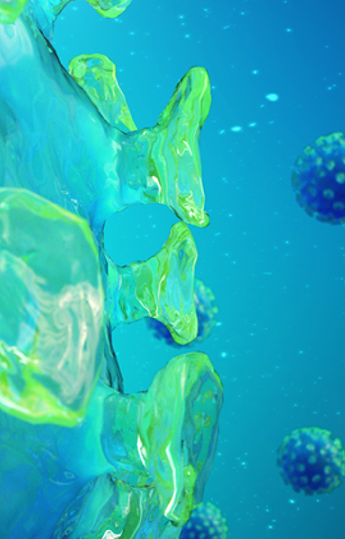 IMMUNE-INFLAMMATORY DISEASES